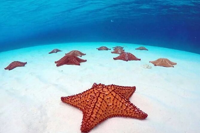 Cozumel 4 Hour Boat Sky Tour - El Cielito adds waist-deep water and sand