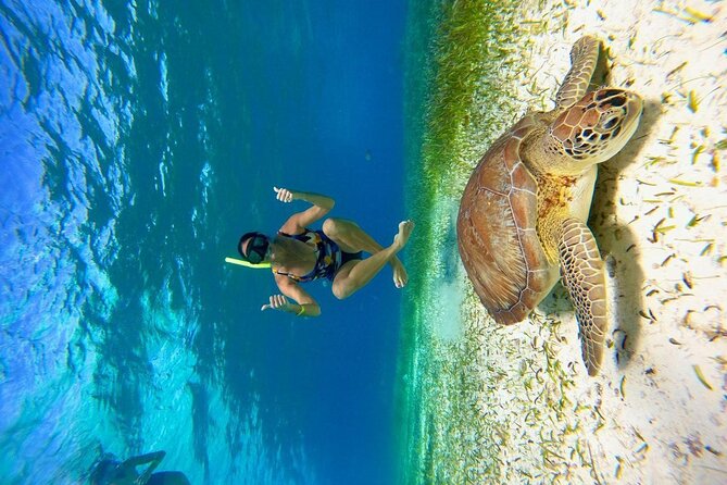 Cozumel 4 Hour Boat Sky Tour - What the $68.39 price includes
