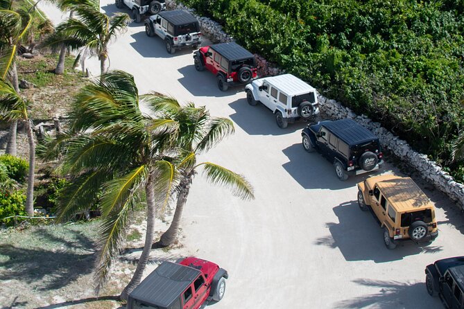 Cozumel 4x4 Adventure Punta Sur and Virgin Beach All Inclusive - Who will enjoy this Cozumel tour most