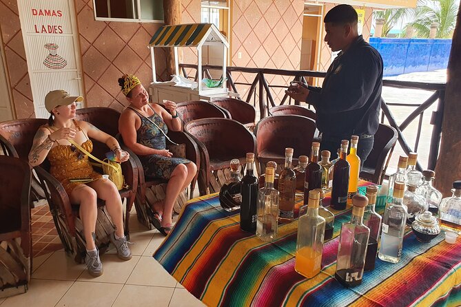Cozumel 5-Hour Private Bar Crawl Tour - What the private vehicle adds