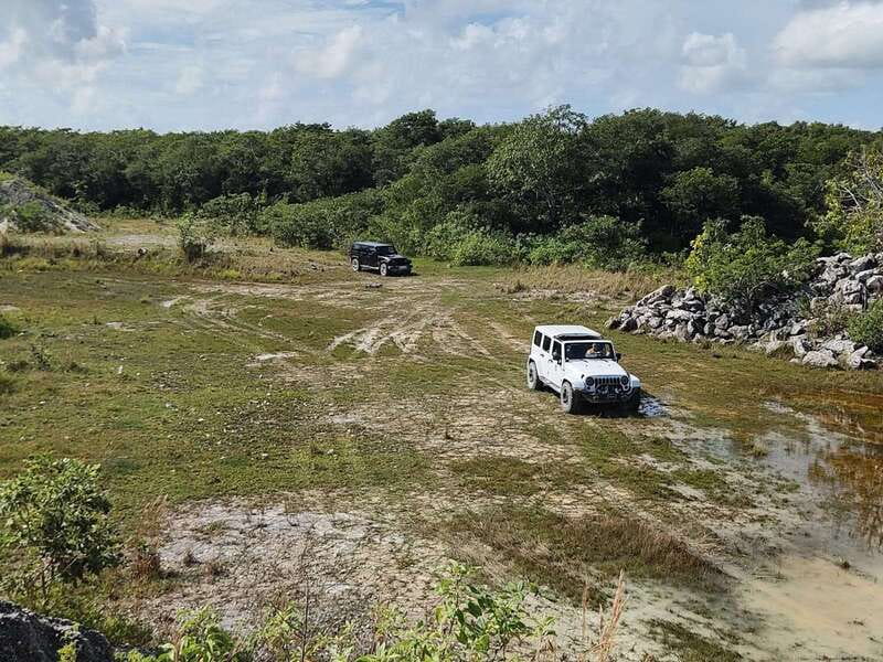 Cozumel: 5-Hour Private Caves and Ruins Tour with Lunch - From tequila history to a family-run tasting