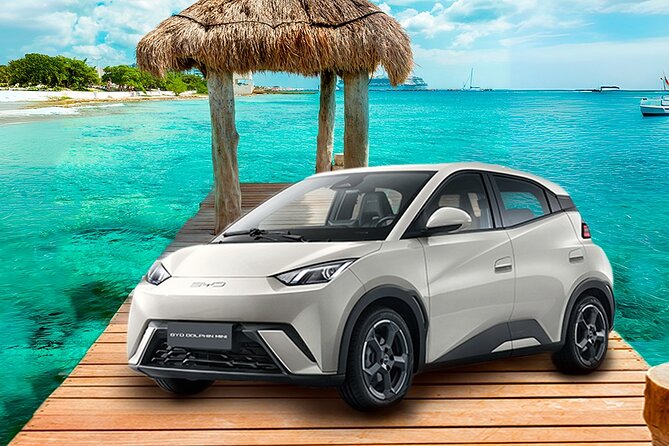 Cozumel Airport to Hotel Private Transfer by Car - Finding the representative after customs