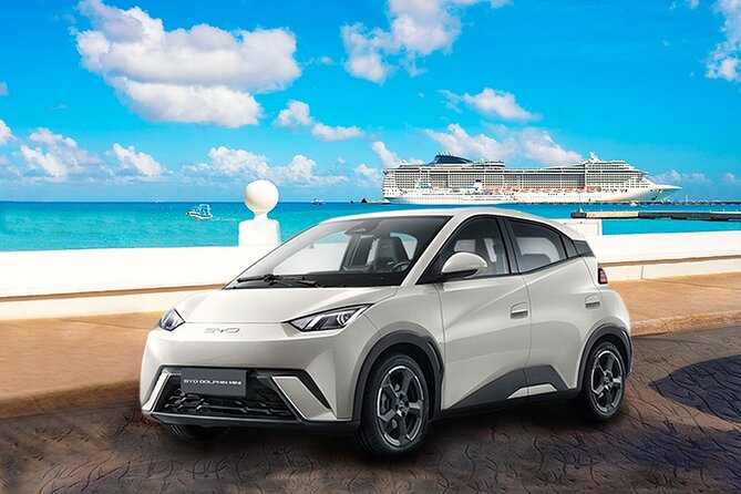 Cozumel Airport to Hotel Private Transfer by Car - Who should book this service?