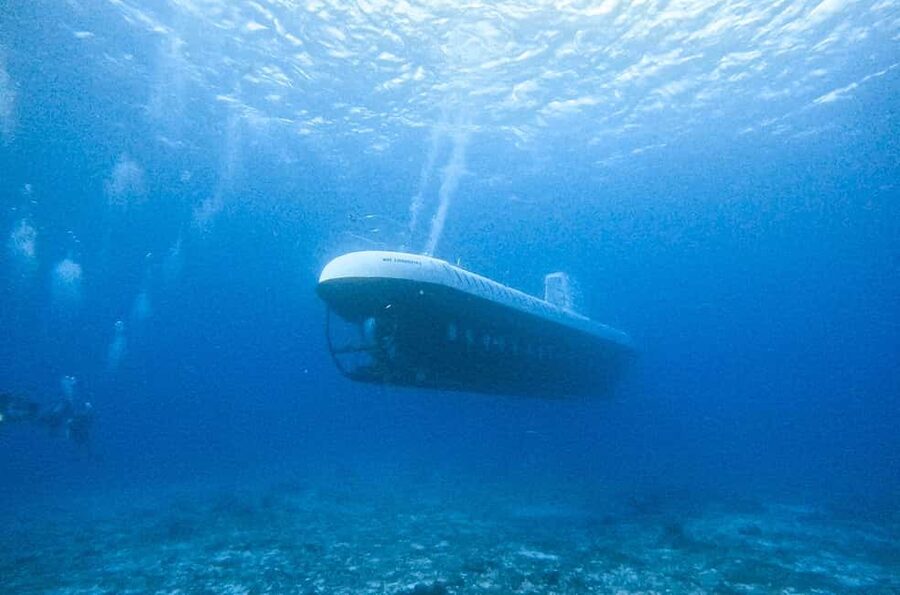 Cozumel: Atlantis Submarine Adventure - Check-in near Casa del Mar