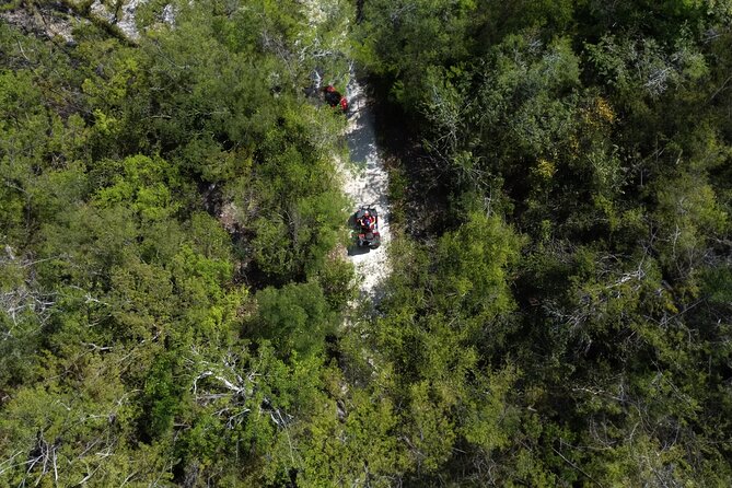 Cozumel ATV Jungle Small Group Guided Ride - Key points to know before you book