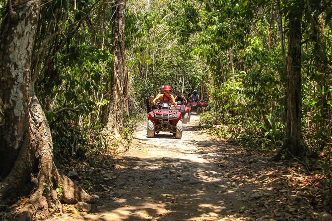 Cozumel ATV Tour & Beach Break - Who will get the most from this Cozumel excursion?