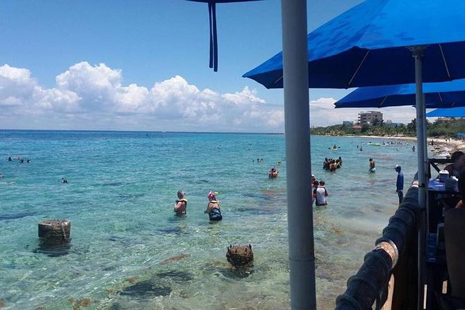 Cozumel Beach + Snorkeling Time - Snorkeling over Dzul-Ha Reef