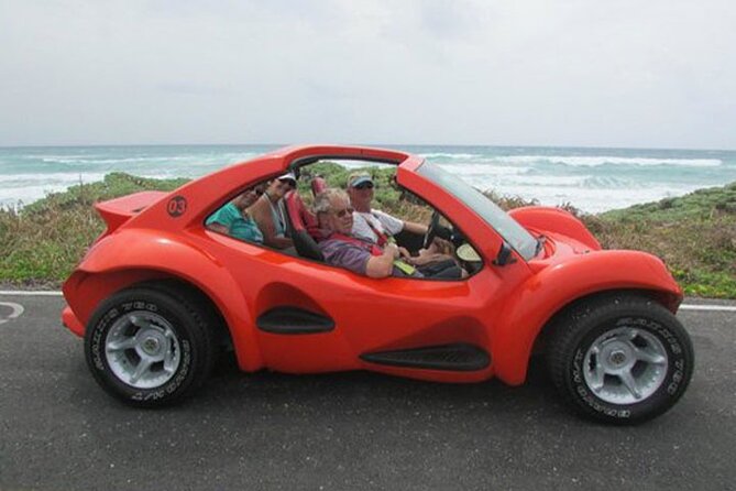 Cozumel Buggy Island Tour, Otoch Mayan Experience & Clear Boat - Food, drinks, and extra costs