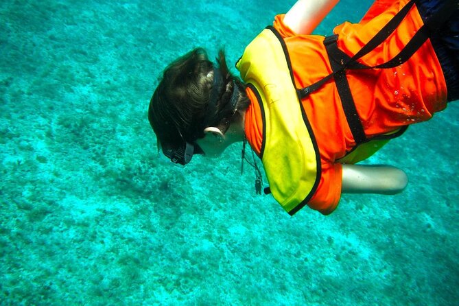 Cozumel Buggy Tour: Snorkeling , Otoch Mayan Experience & Lunch - The guides can make or break the day