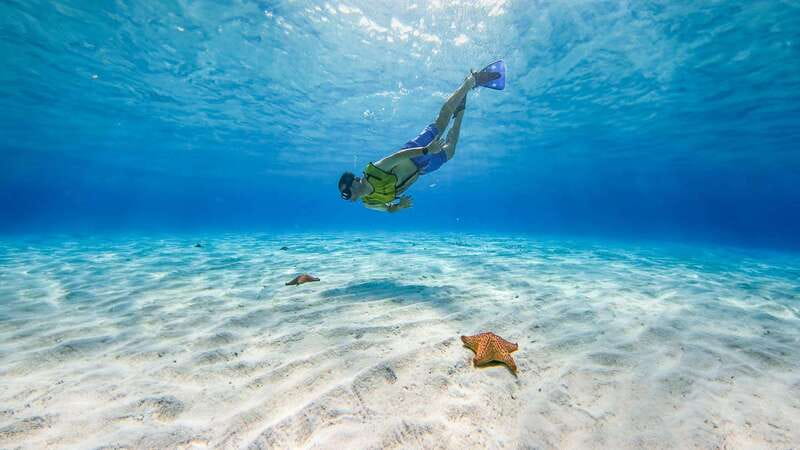Cozumel: Catamaran, El Cielo Bay & Palancar Reef with Lunch - Why this Cozumel trip works as a full-day sampler
