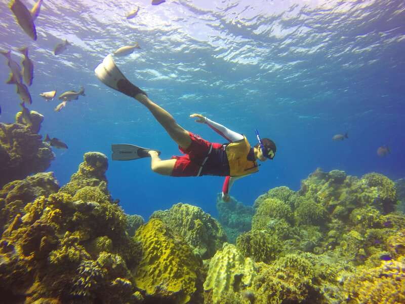 Cozumel: Catamaran, El Cielo Bay & Palancar Reef with Lunch - Palancar Reef and Colombia Reef snorkeling