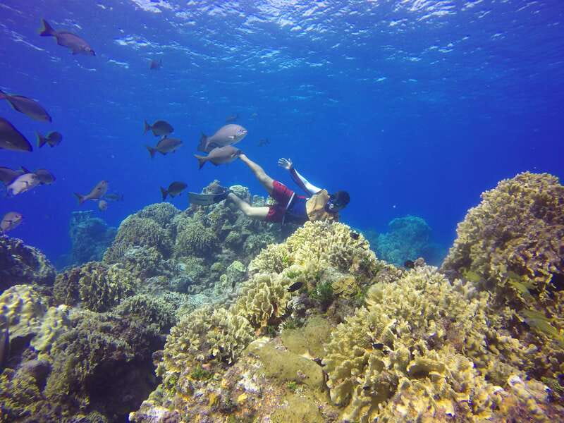 Cozumel: Catamaran, El Cielo Bay & Palancar Reef with Lunch - A Yucatecan meal and local performance