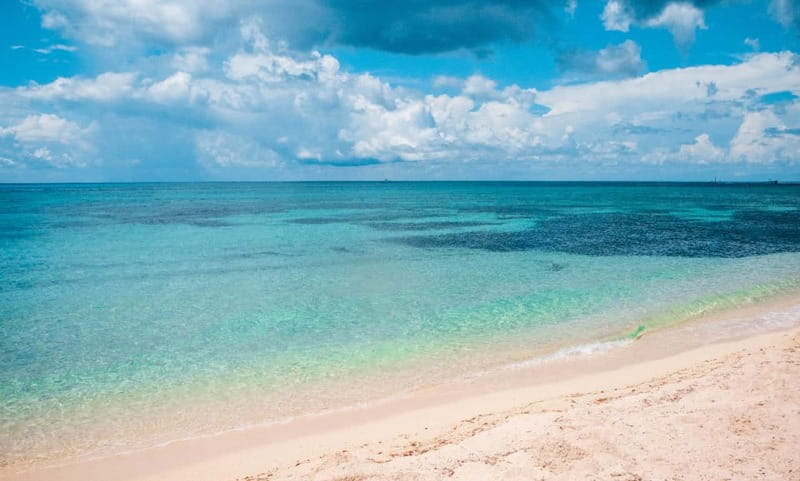 Cozumel: Catamaran, El Cielo Bay & Palancar Reef with Lunch - How much value do you get for $98?