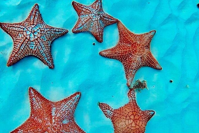 Cozumel Catamaran Fun: Snorkeling, Open Bar & Water Park - Timing, group size, and possible snags