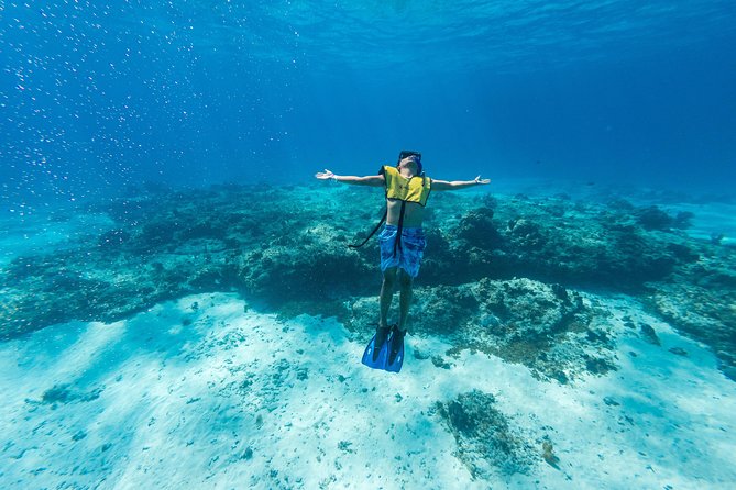 Cozumel Catamaran Snorkeling Tour & lunch - El Cielo Bay and its protected starfish