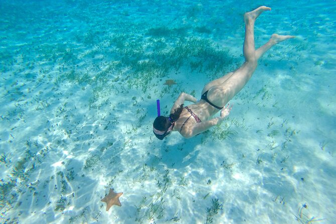Cozumel Catamaran Snorkeling Tour & lunch - The tradeoff between scenery and crowd control