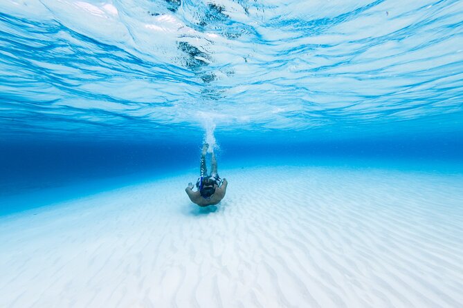 Cozumel Catamaran Snorkeling Tour & lunch - What to expect at Palancar Reef