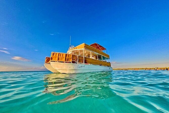 Cozumel Catamaran Tour: Snorkel at Top Reefs & Open Bar - Leaving San Miguel for the Caribbean