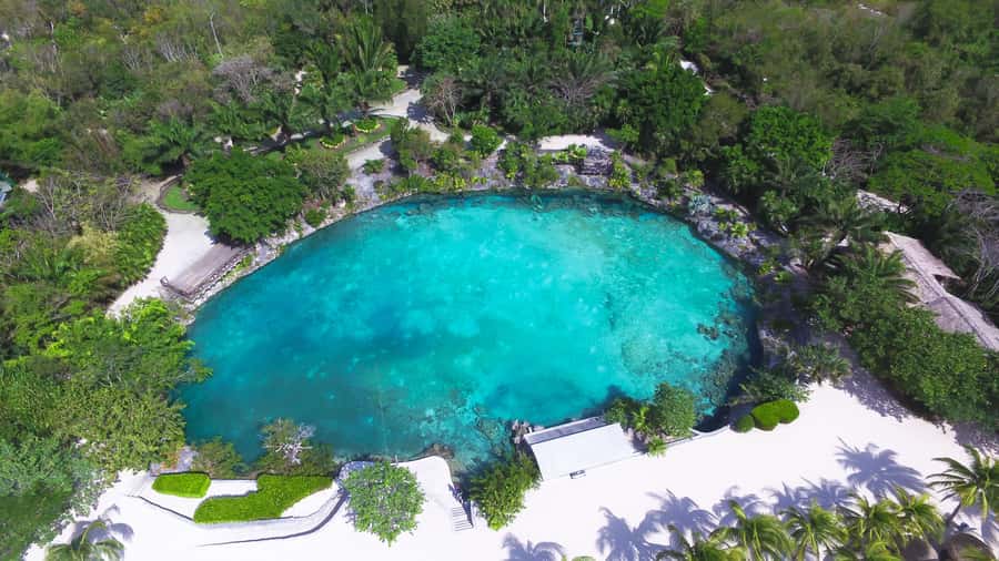 Cozumel: Chankanaab Park Admission+ Snorkel+ Welcome drink - Should you book the Chankanaab package?