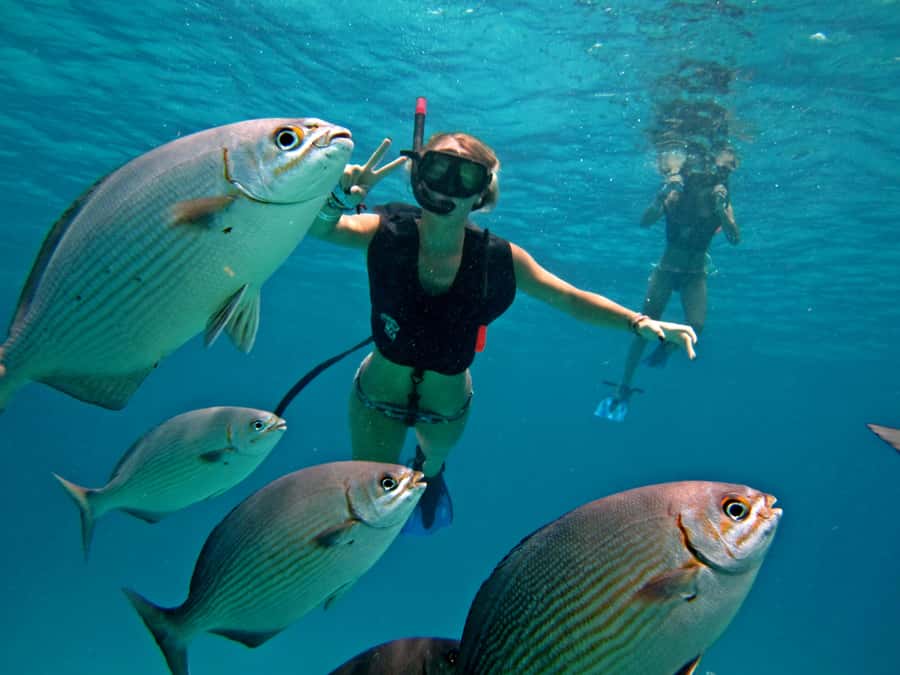 Cozumel: Chankanaab Park Admission+ Snorkel+ Welcome drink - Chankanaab puts reef time and a beach day together