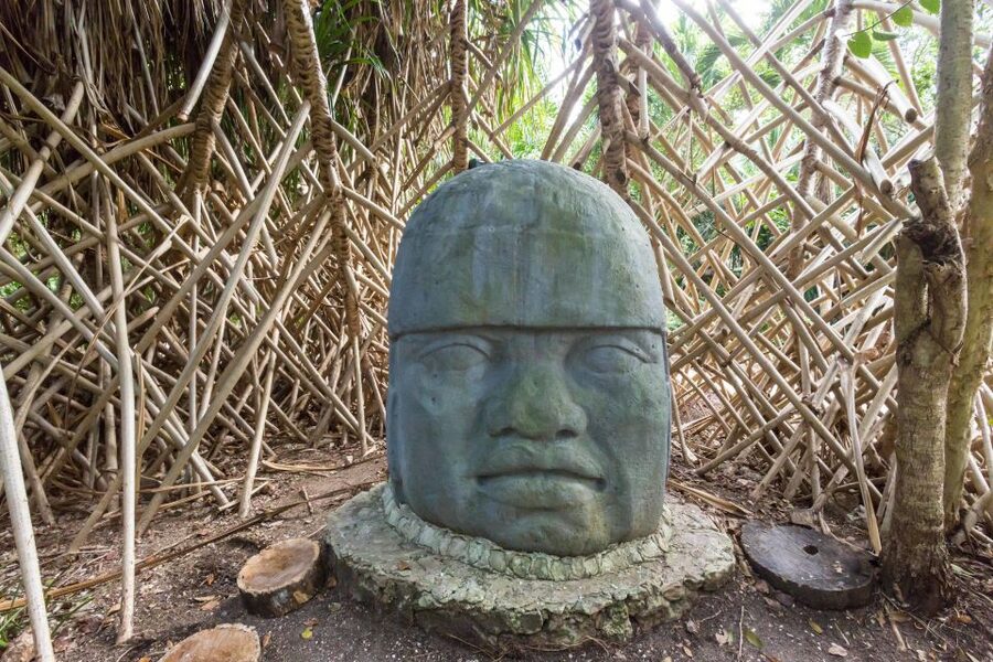 Cozumel: Chankanaab Park Admission+ Snorkel+ Welcome drink - Is $33 a good value?