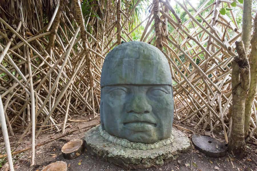 Cozumel: Chankanaab Park Admission+ Snorkel+ Welcome drink - Timing matters on a cruise day