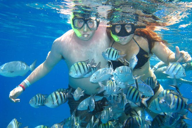 Cozumel Coral Reef Snorkeling by Glass Bottom Boat with Guide - What to bring and what to skip
