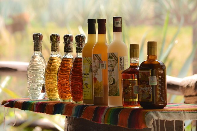 Cozumel Cultural Jeep Tour with Mayan Village and Mexican Lunch - Mexican lunch at La Choza Cozumel