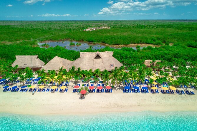 Cozumel, Day Pass Access at KUZÁ Beach & Adventure Park - Finding your place under the palms