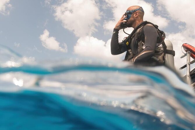 Cozumel: Discover Scuba Diving - What the underwater scenery may look like