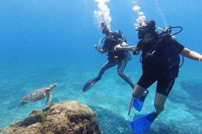 Cozumel: Discover Scuba Diving - Who will enjoy this most