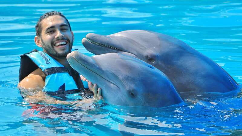 Cozumel: Dolphin Royal Connection and Manatee Interaction - Key points to know before booking