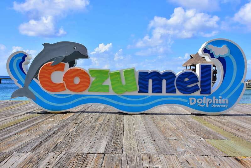 Cozumel: Dolphin Royal Connection and Manatee Interaction - Two dolphins, one short manatee session