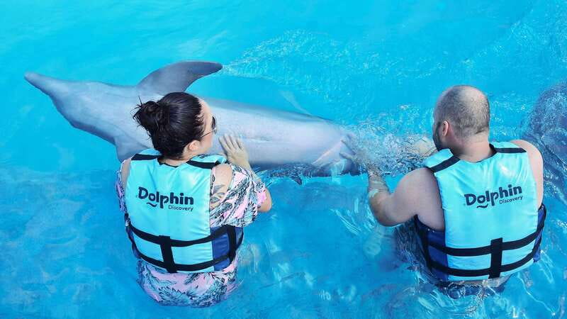 Cozumel: Dolphin Royal Connection and Manatee Interaction - Chankanaab Park adds more than a pool