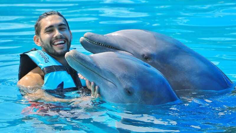 Cozumel: Dolphin Royal Connection and Manatee Interaction - Lunch, open bar, and the VIP area