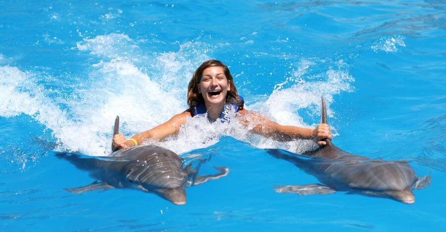Cozumel: Dolphin Royal Connection and Manatee Interaction - Is $135 a fair price?