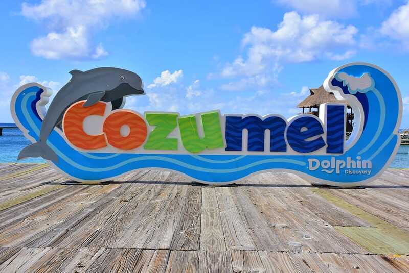 Cozumel: Dolphin Royal Connection and Manatee Interaction - Timing, group size, and the risk of delays