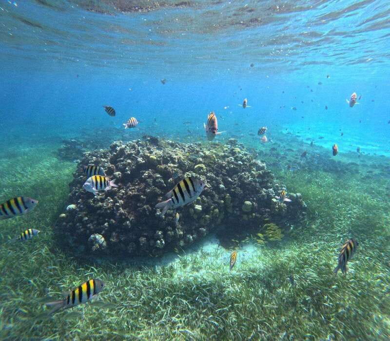 Cozumel, El Cielo: 4-Hour Private Tour - Key points to know before you go