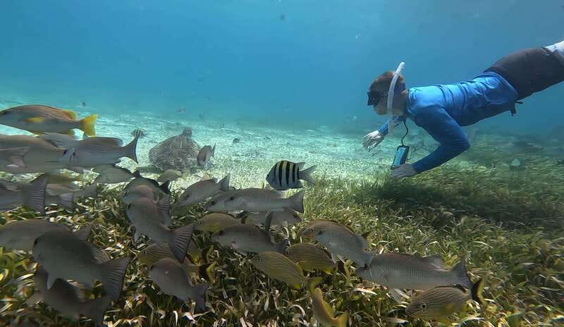 Cozumel, El Cielo: 4-Hour Private Tour - El Cielito and the clear-water finish