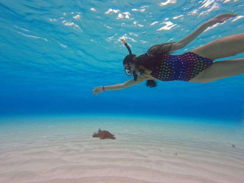 Cozumel, El Cielo: 4-Hour Private Tour - The crew can make or break the morning