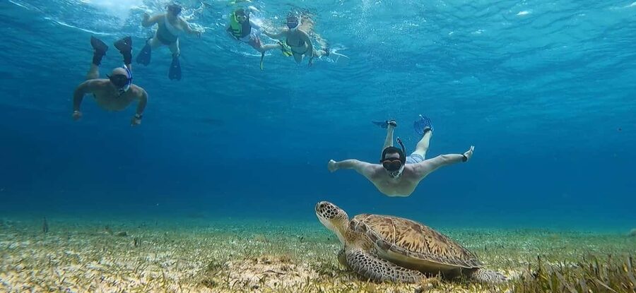 Cozumel, El Cielo: 4-Hour Shared Snorkeling Tour - Key points to know before booking