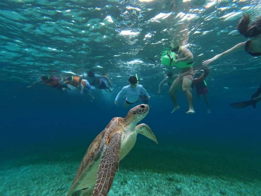 Cozumel, El Cielo: 4-Hour Shared Snorkeling Tour - Palancar Reef and the first look below the surface