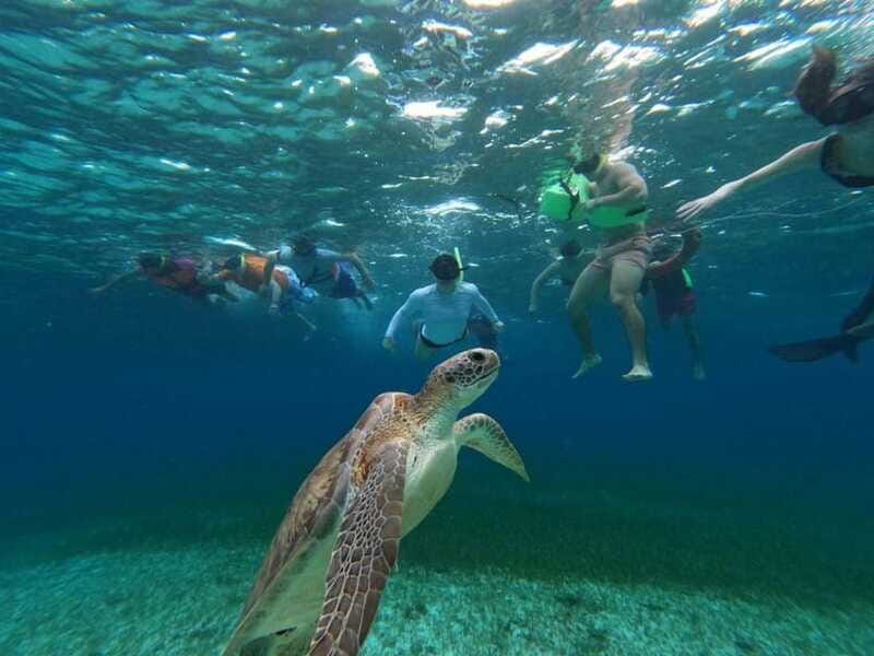 Cozumel, El Cielo: 4-Hour Shared Snorkeling Tour - What the shared boat format means