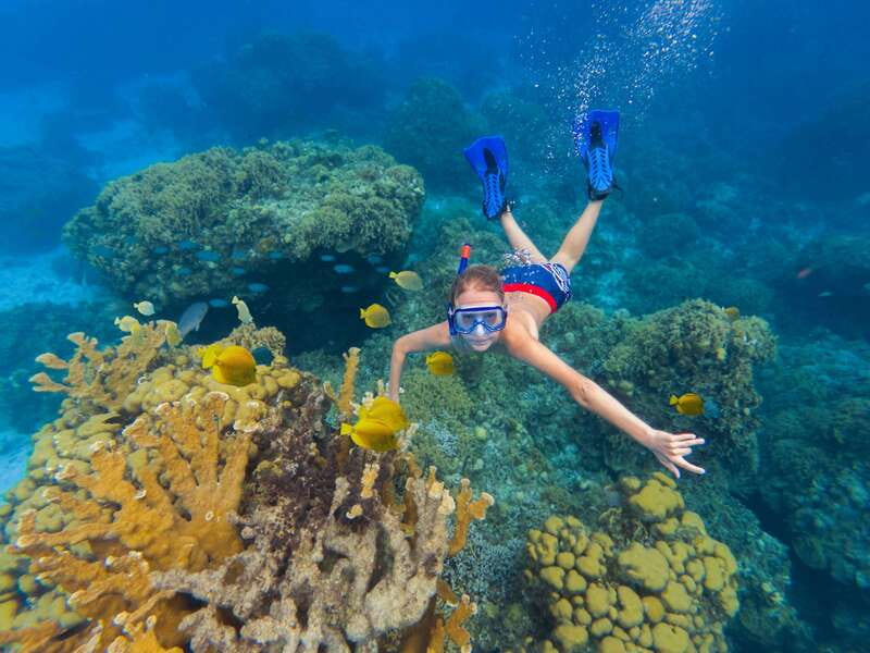 Cozumel: El Cielo, Palancar Reef, and Beach Party with Food - A five-hour route from reef to sandbar