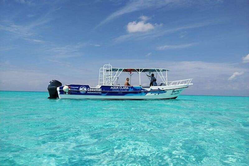 Cozumel El Cielo Sandbar and Reef Snorkeling Tour - Three Cozumel waters in five hours