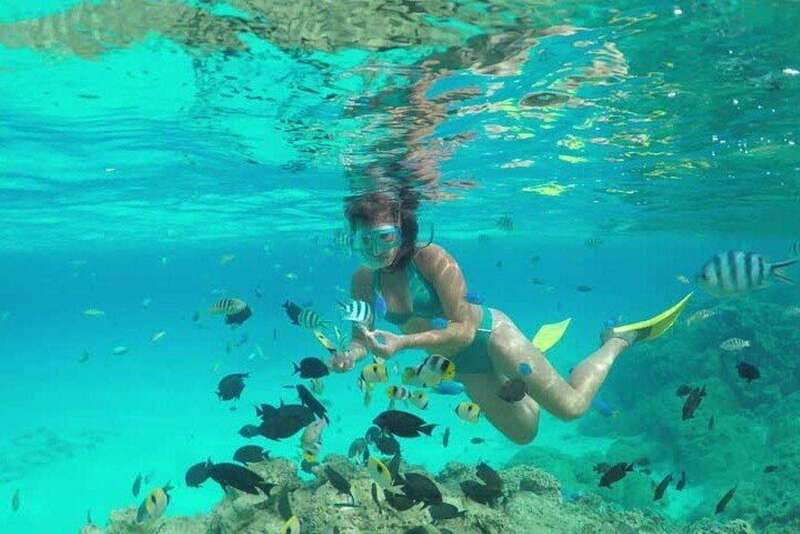 Cozumel El Cielo Sandbar and Reef Snorkeling Tour - Meeting near the cruise terminals
