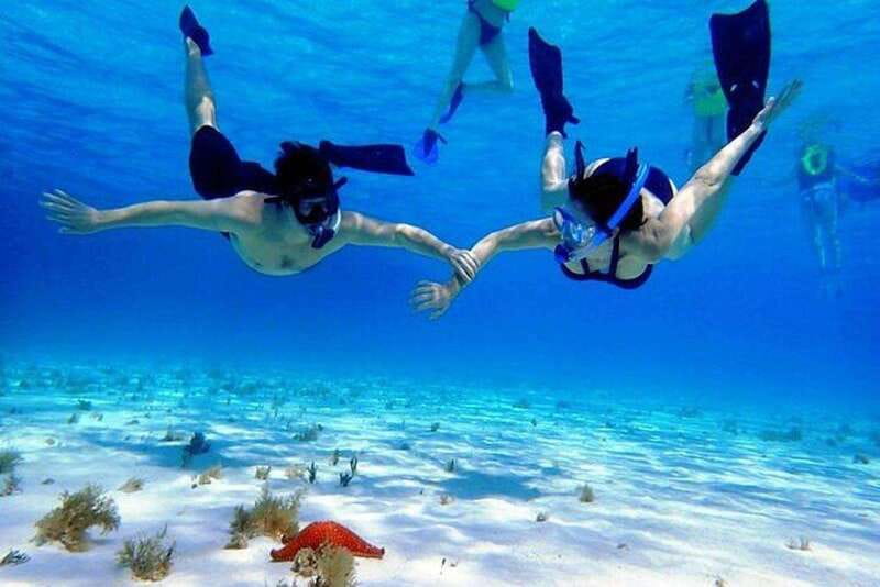 Cozumel El Cielo Sandbar and Reef Snorkeling Tour - Palancar Reef and the value of a second reef stop