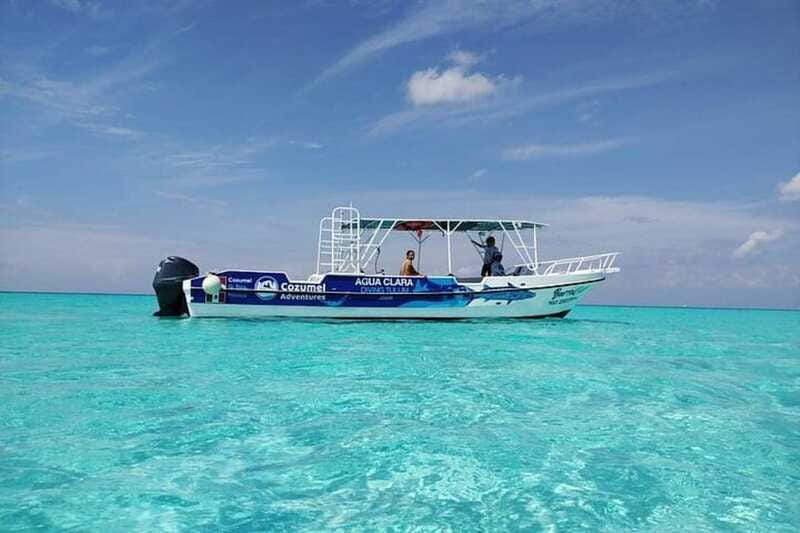 Cozumel El Cielo Sandbar and Reef Snorkeling Tour - What the private format really changes