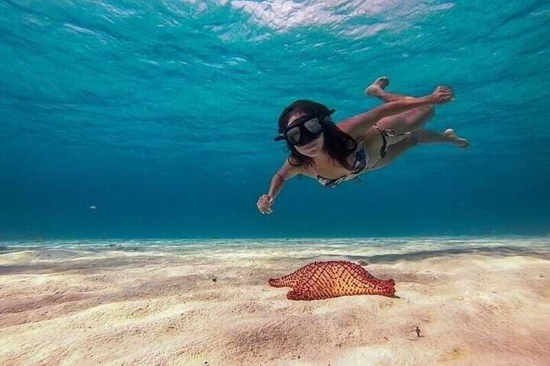 Cozumel: Glass-bottom Boat Snorkeling Adventure - Should You Book It?