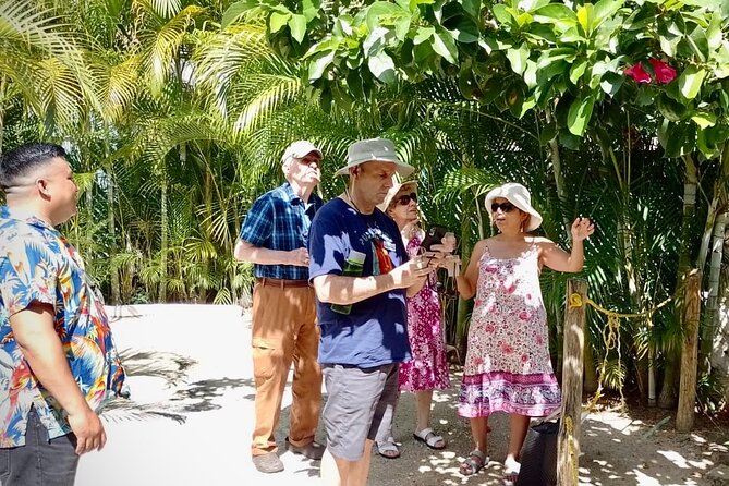 Cozumel: Hands-On Chocolate, Tortilla, Salsa & Honey Experience - Tasting honey from two bee species